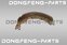 Колодка тормозная задняя нижняя правая DONGFENG Capitan-T 3502.28ZY6S-082J 350228ZY6S082J